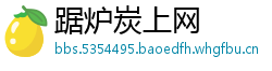 踞炉炭上网